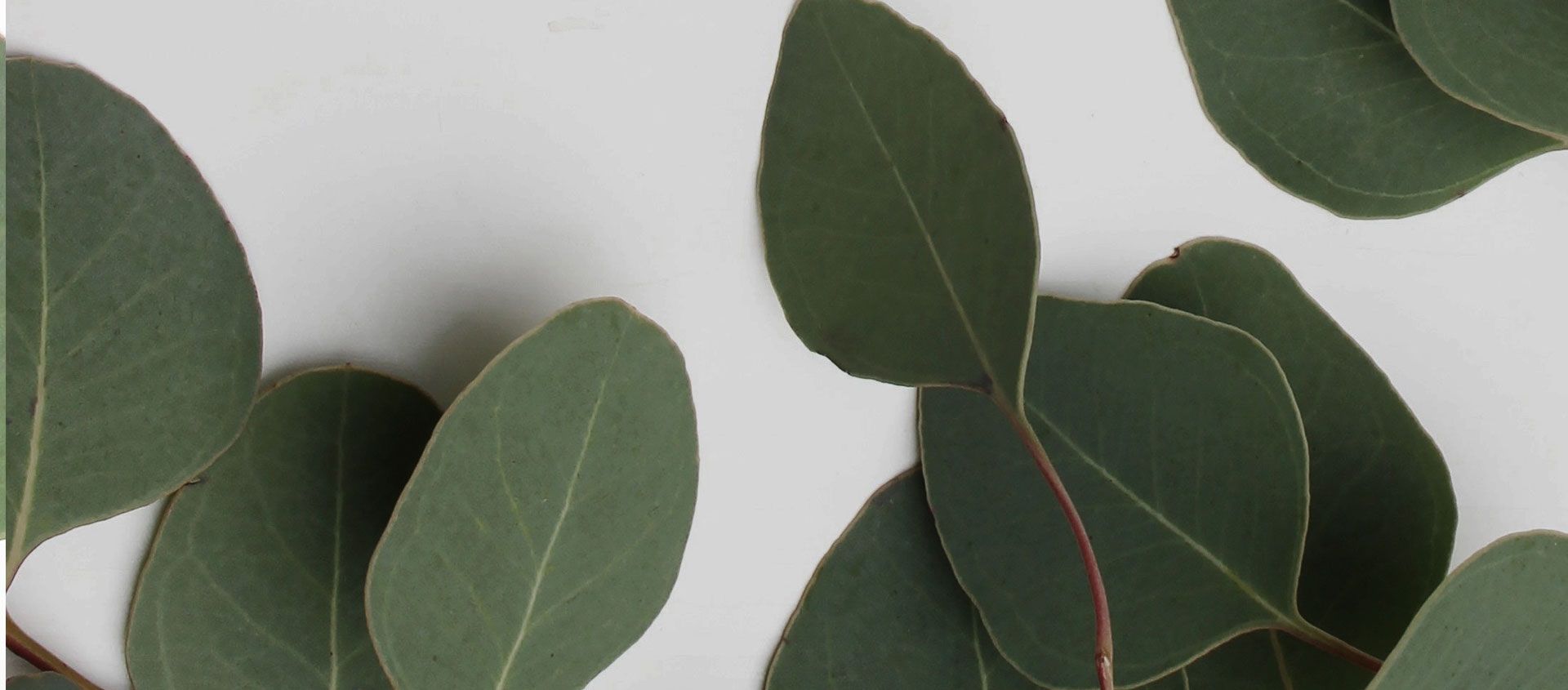 Взыскание ущерба от экологических правонарушений в Апрелевке